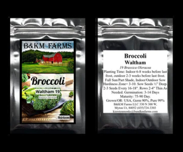 Salad Variety Seeds | Carrot, Lettuce & Cucumber Seeds photo 1