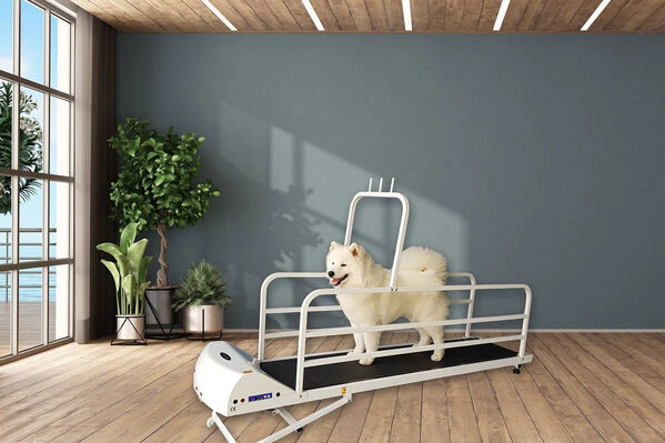 GoPet PetRun PR 725E Large Dog Treadmill | Electric Running Machine photo 1