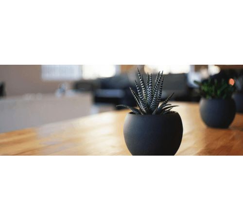 Cognitive Behavioral Therapy Barrington For Lasting Mental Wellness Support