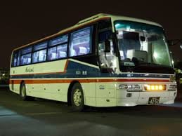 Mini Party Bus Rental Brooklyn