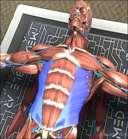 Augmented Reality Tools For Anatomy Education photo 1