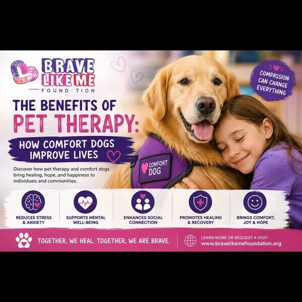 Pet Therapy Benefits: How Comfort Dogs Improve Lives – Brave Like Me photo 1