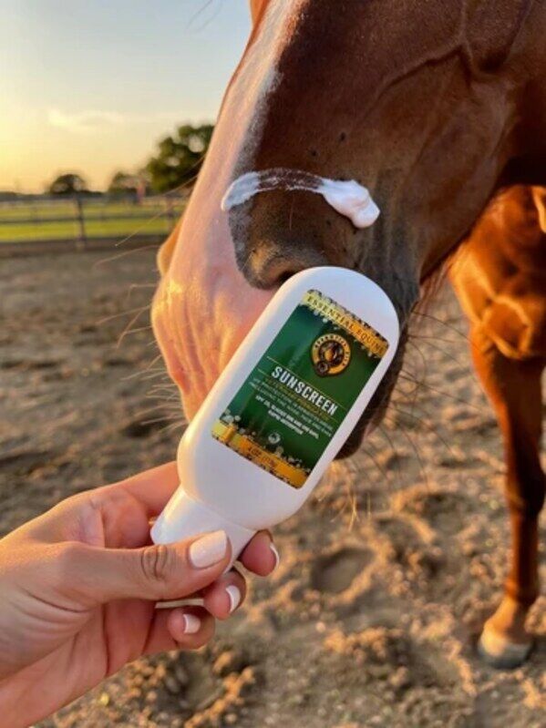 Horse Care Products & Horse Cleaning Products | The Epic Animal photo 1