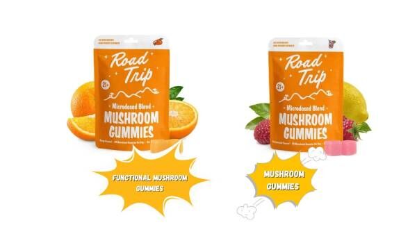 USD 14,  Functional Mushroom Gummies: Labels, Ingredients & Lab Testing – Matelski Family Farm photo 1