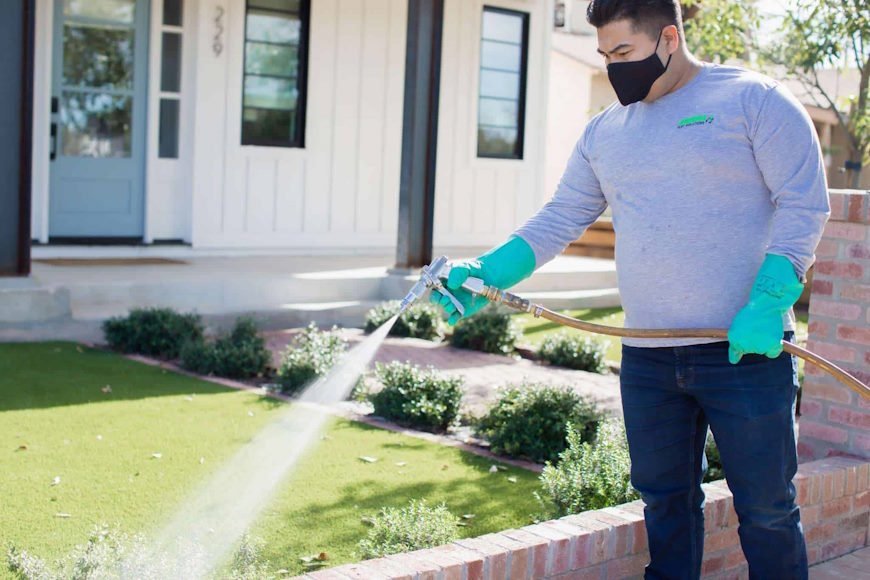Scorpion Pest Control - Arizona Termite & Pest Solutions photo 2
