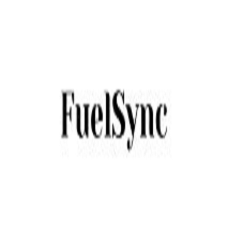 Fuelsync Gas Saver