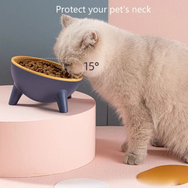 Buy Cat Bowls & Stainless Steel Cat Food Bowls Online